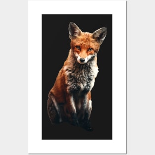 Realistic fox Posters and Art